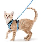 Harnais chat petit chien laisse harnais chaton rglable bleu clair xs collier harnai chat reflchissant ...