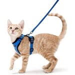 Harnais chat petit chien laisse harnais chaton r�glable bleu xs collier harnai chat refl�chissant gilet ...