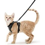 Harnais chat petit chien laisse harnais chaton rglable gilet reflchissant respirant, collier harnais ...