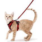Harnais chat petit chien laisse harnais chaton rglable rouge xs collier harnai chat reflchissant gilet ...