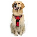Harnais chien l arnais rouge anti traction r�fl�chissant gilet r�glable pour chien grand taille, attache ...