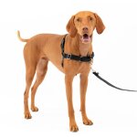 Harnais easy walk avec boucle anti - traction et laisse de 1, 8 m, promenade confortable pour vous et ...