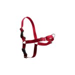 Harnais easywalk chien m rouge cynnotek cy3117