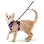 Harnais avec laisse pour chats, harnais et laisse pour chats, harnais r�glable pour chatons, collier ...