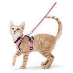 Harnais avec laisse pour chats, harnais et laisse pour chats, harnais r�glable pour chatons, collier ...