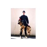 Harnais de portage intervention, pour chien d�signation : harnais de portage intervention taille : t2 ...