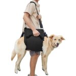 Harnais de transport pour chien, sac � dos d'urgence pour soutien et r��ducation des jambes de l'animal ...