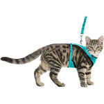 Harnais y en maille avec laisse anti secousses, entirement lastique pour chat - animallparadise