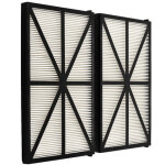 Hayward - jeu de 2 panneaux filtrants pour robot tiger shark