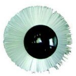 Herisson polyamide rd d80 1683