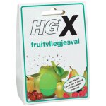 Hg - pige  mouches des fruits