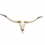 Hhg - jamais utilis] crne de dcoration vache 698, polyresin, trophe de taureau avec cornes, 103x43x11cm ...