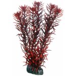 Eusteralis, plante d'aquarium artificielle pour la d�coration - 20 cm - hobby