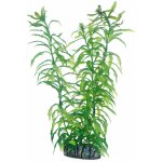 Hobby - heteranthera, plante d'aquarium artificielle pour la dcoration - 25 cm