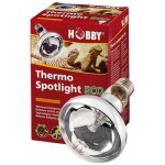 Thermo spotlight eco, spot halogène chauffant pour le terrarium - 70w - hobby Thermo spotlight eco, spot halogène chauffant pour le terrarium - 70w - hobby
