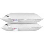 Homescapes - lot de 2 oreillers naturels en plumes et duvet de canard, 50 x 75 cm Homescapes - lot de 2 oreillers naturels en plumes et duvet de canard, 50 x 75 cm