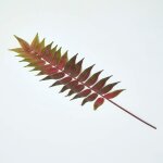 Homescapes - feuille de fougre tropicale artificielle sur tige, 72 cm
