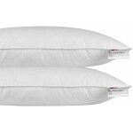 Homescapes oreiller en plumes et duvet d'oie 40 x 80 cm - lot de 2