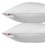 Homescapes - oreiller en plumes et duvet d'oie 80 x 80 cm - lot de 2 Homescapes - oreiller en plumes et duvet d'oie 80 x 80 cm - lot de 2