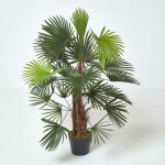 Homescapes - palmier bambou vert lady palm en pot, 90 cm