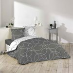 Douceur d'int�rieur - housse de couette microfibre 220x240 elton + 2 taies