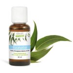 Huiles essentielles 30 ml eucalyptus