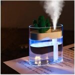 Humidificateur d'air 160ml air humidifier clair cactus couleur lumi�re usb huile essentielle diffuseur ...