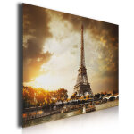 Tableau deco design paris et sa tour eiffel, 80x50cm