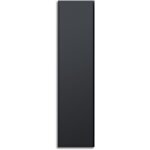 Radialight - radiateur lectrique vertical 180 x 45 cm anthracite icon ico20111 noir mat