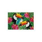 Tapis coco blanchi toucans / pvc 40x60 cm - idmat