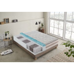 Ilovesleep - matelas 120x190 à ressorts ensachés - mémoire de forme - à 9 zones avec revêtement amovible ... Ilovesleep - matelas 120x190 à ressorts ensachés - mémoire de forme - à 9 zones avec revêtement amovible ...