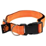 Impex - collier orange r�fl�chissant pour chien fidelami, taille r�glabe m / l