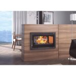 Fm biomasa - insert  bois double face ventil - firematic sana 13. 3 kw foyer en fonte - porte fonte ...