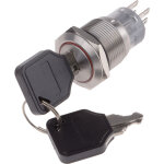 Interrupteur � cl� 2 positions bipolaire � deux directions (2rt) 5 a ip40 ( prix pour 1 )