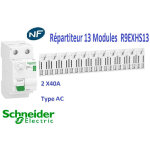 Interrupteur diff�rentiel xe 63a 30ma type a - auto - 230v + r�partiteur embrochable 13m schneider r9era263 ...