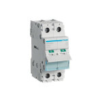 Interrupteur modulaire 2 ples 100a hager sbn290