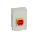 Interrupteur - sectionneur rotatif complet de proximit ttrapolaire neutre  gauche 40a legrand 022184 ...