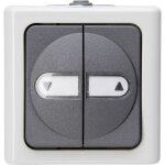Interrupteur de store blue electric� gris