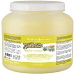 Iv san bernard - fruit du toiletteur aprs - shampooing gingembre et sureau 3 litres offre exclusive