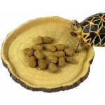 Jalleria - gamelle reptile petit modle ? gamelle, bol d'eau, bol  nourriture pour les reptiles, les ...
