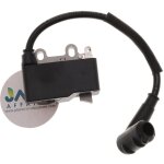 Bobine d'allumage compatible avec echo remplace a411000252