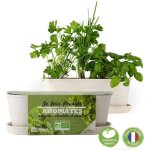 Jardinire en bambou - aromates