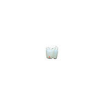 Jardinvest - jerrycan en plastique bidon essence et huile transparent