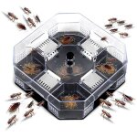 Jeffergarden bote de pi�ge � cafards pi�ge de receveur de cafards �cologique r�utilisable pour cuisine ...