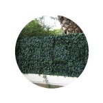 Jet7garden - mur vgtal 12 plaques feuillage artificiel lierres - 3m2 - vert