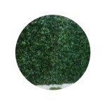 Treillis en bois de saule et feuilles de vigne vierge artificielles (1 x 2 m) Treillis en bois de saule et feuilles de vigne vierge artificielles (1 x 2 m)