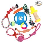 Jouets à mâcher ensemble lot de 10 de jouets pour chien, durables indestructible jouet à mâcher corde ... Jouets à mâcher ensemble lot de 10 de jouets pour chien, durables indestructible jouet à mâcher corde ...