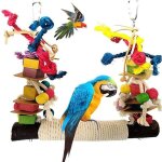 Jouet perroquet, jouets pour oiseaux, jouet de morsure de perroquet, pont �chelles, balanoire jouet oiseau ...