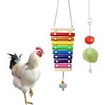 Jouet de poulet 2 pi�ces, jouet de poulet xylophone avec 8 cl�s en m�tal et meule, support de nourriture ...
