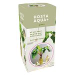 Kit tout prt plante hosta aqua verte